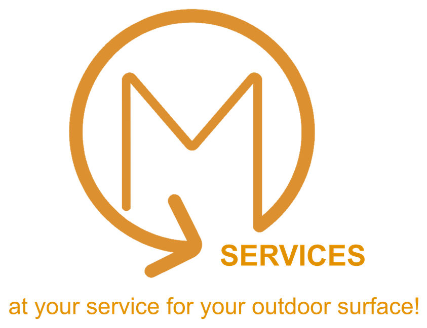 MS Services